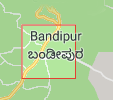 Jobs in Bandipur