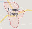 Jobs in Sheopur